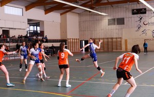 Dernier match à domicile pour nos Violettes N3