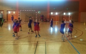 Reprise imminente pour nos très jeunes handballeurs(ses)