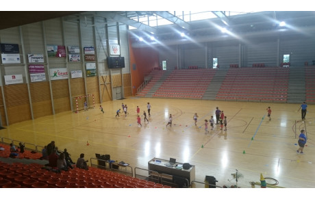 Ecole de Hand