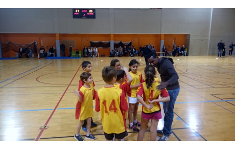 Nos jeunes violets ne sont plus des bleus !