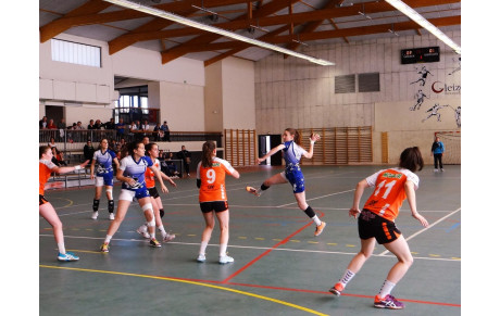Dernier match à domicile pour nos Violettes N3