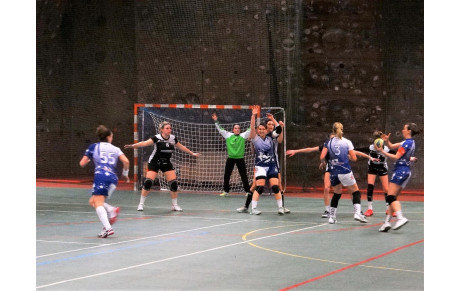 5 victoires sur les 7 derniers matchs pour nos violettes et nos violets leader de leur championnat !